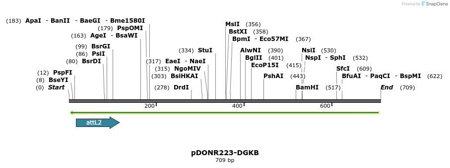 46876_map