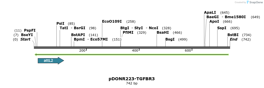 46877_map