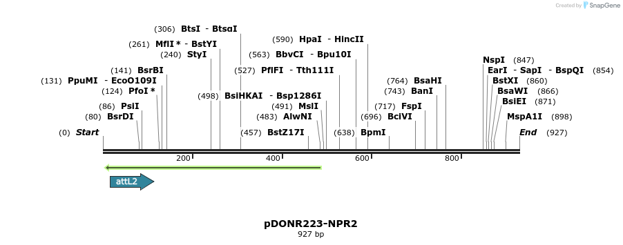 46878_map