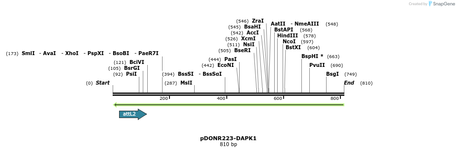 46879_map