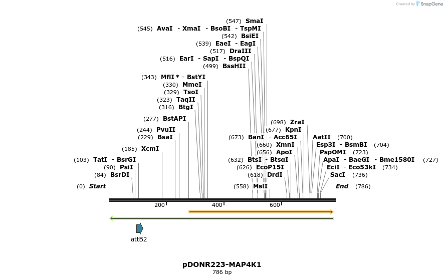 46883_map