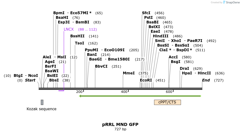 46886_map