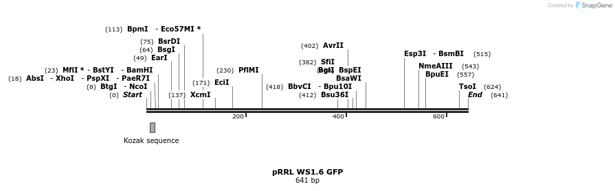 46888_map