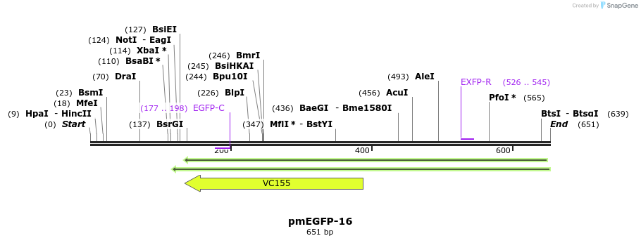 46895_map