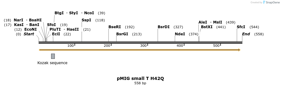46899_map