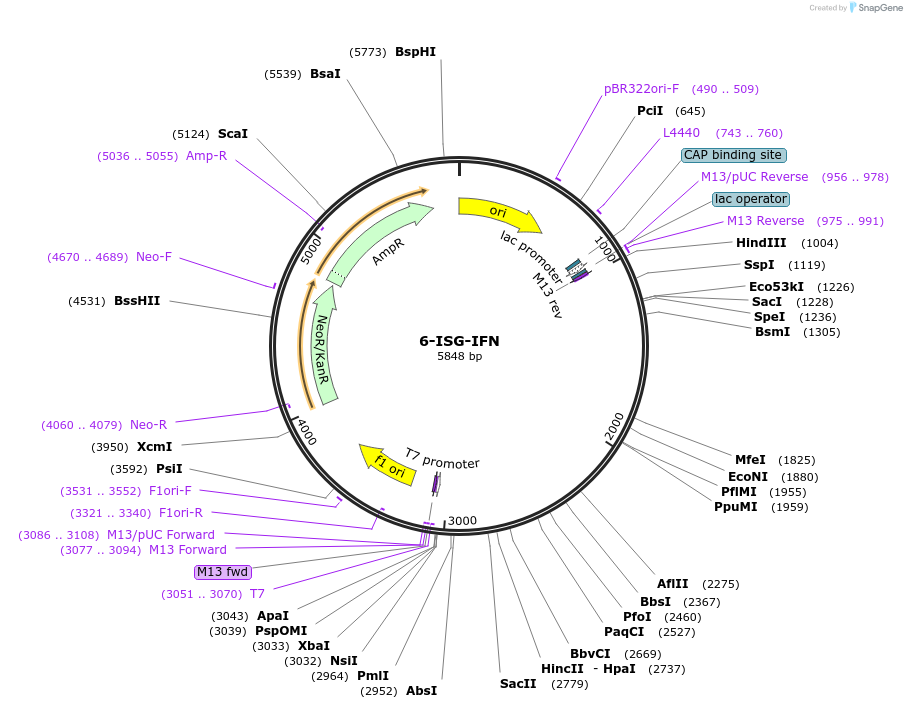 469002_map