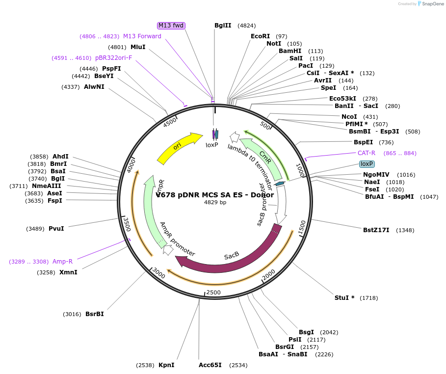 46901_map