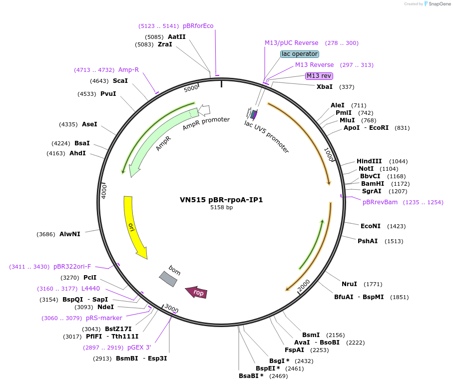 469017_map