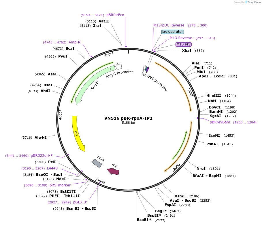 469020_map