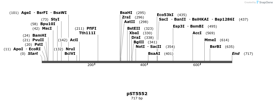 46903_map