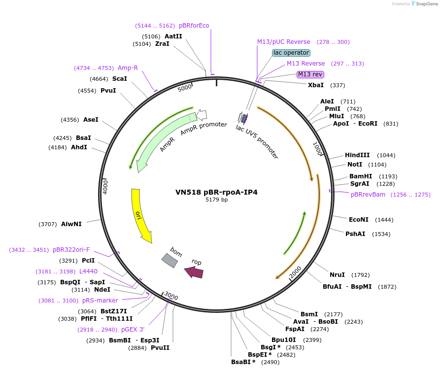 469030_map