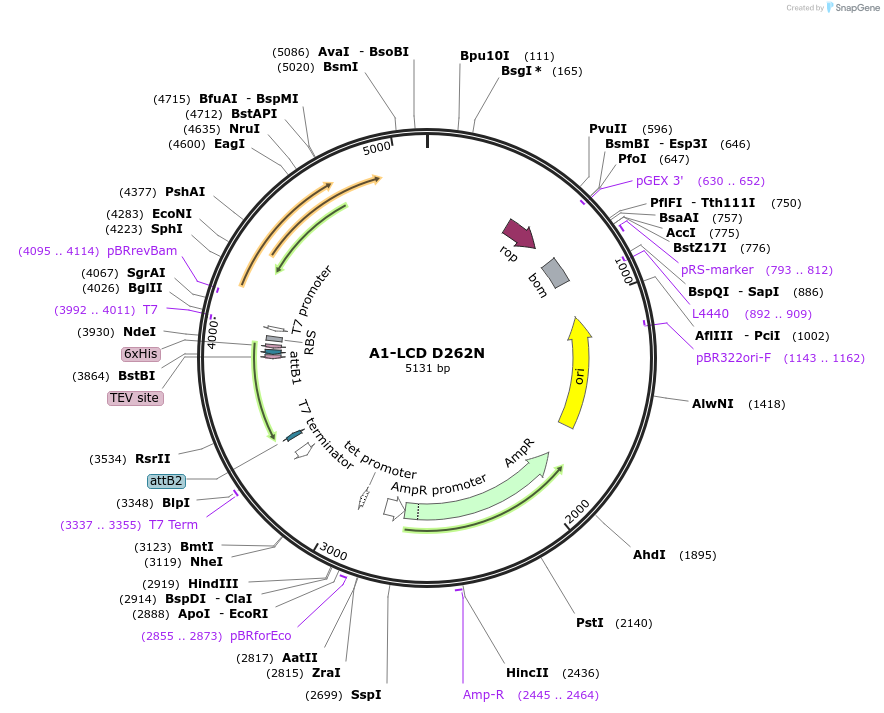 469041_map