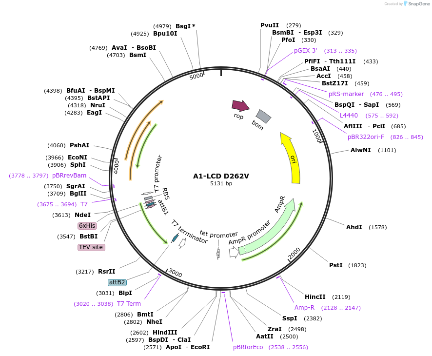 469042_map