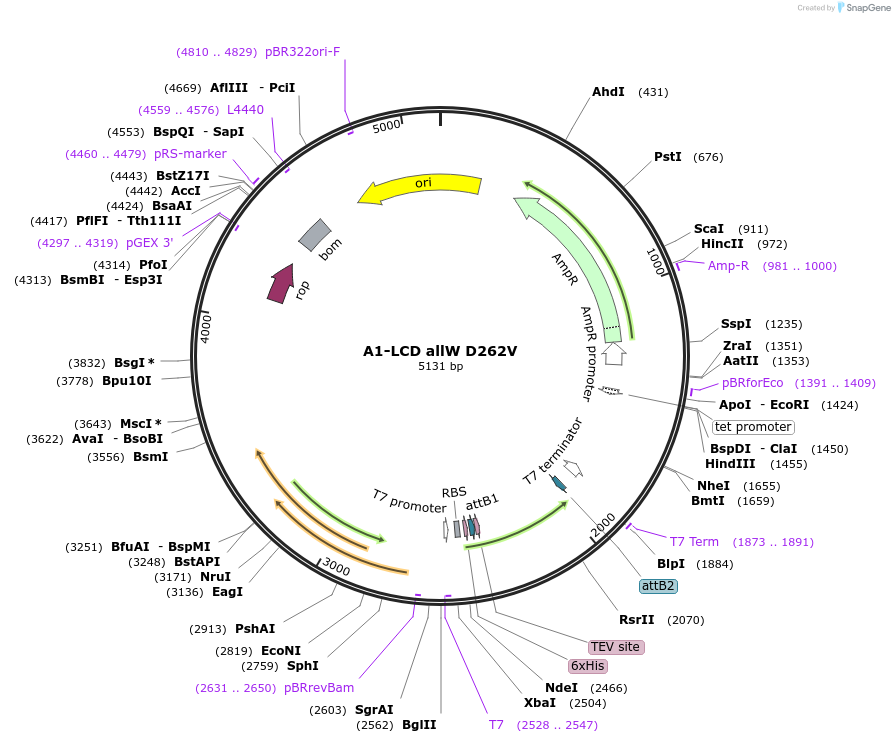 469043_map