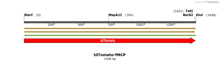 469092_map