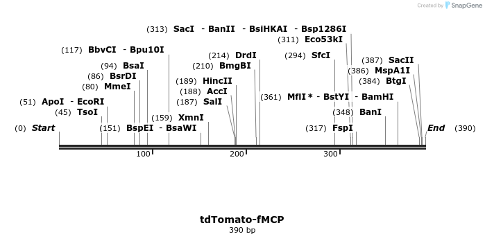 469093_map