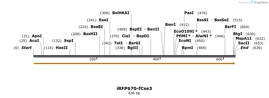 469096_map