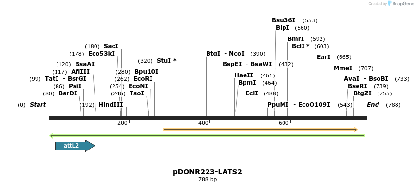 46912_map