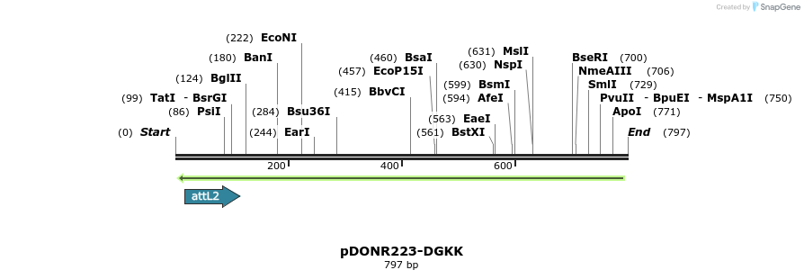46913_map