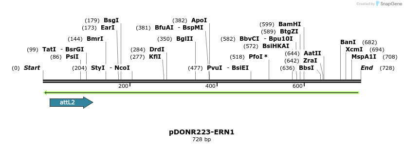 46917_map
