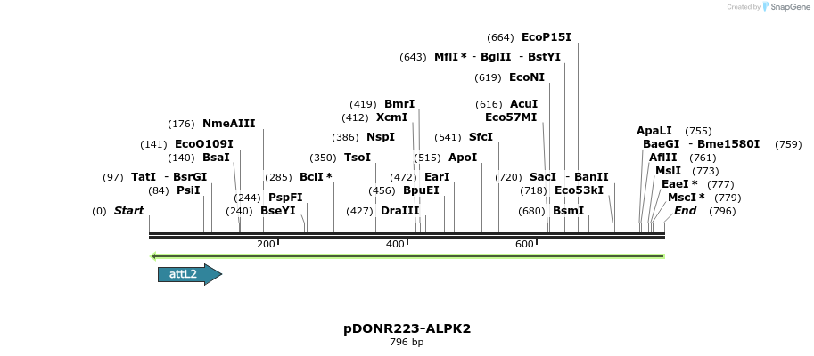 46918_map