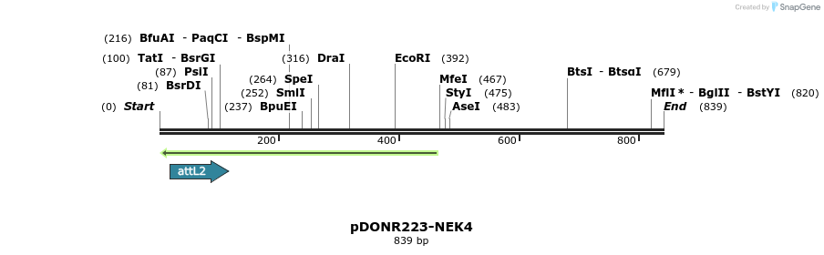 46919_map