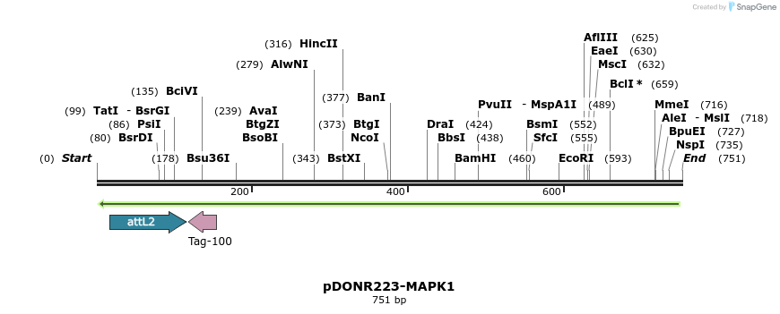 46920_map