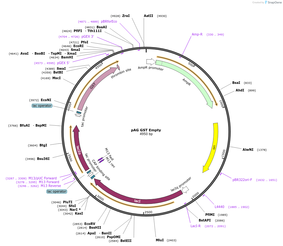 469201_map