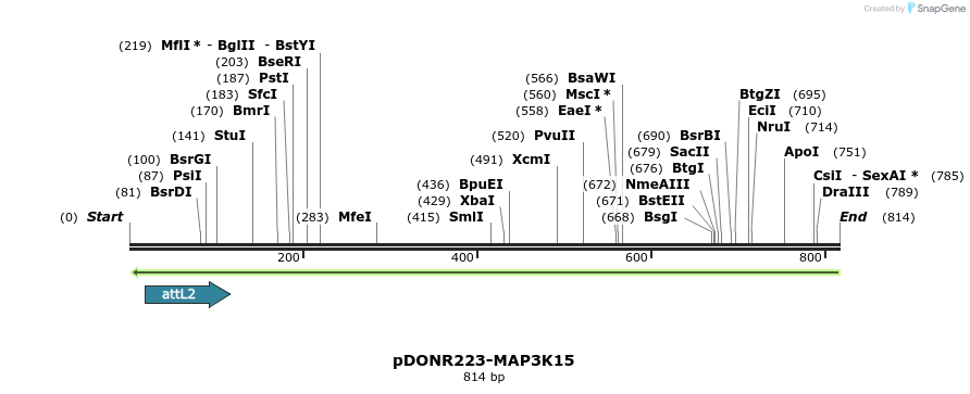 46921_map