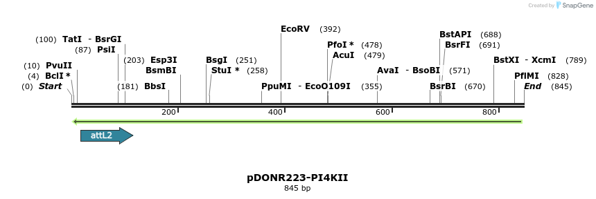 46924_map