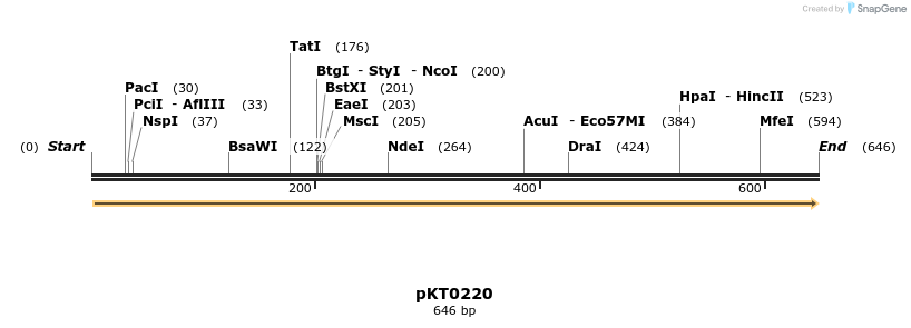46928_map
