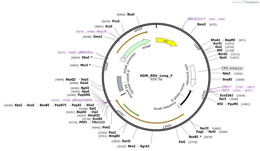 469313_map