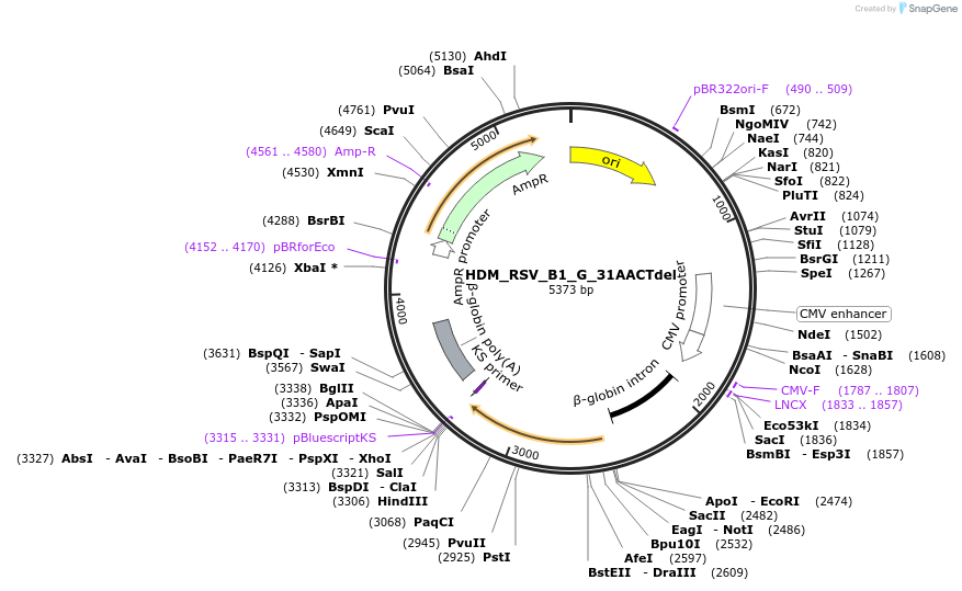 469315_map