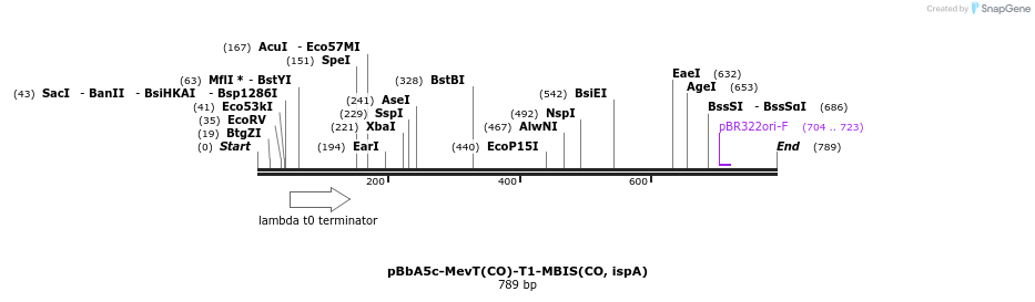 46933_map