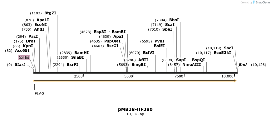 46949_map