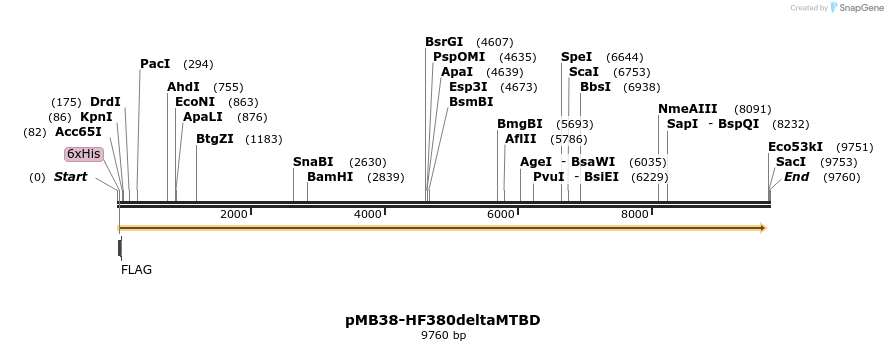 46950_map