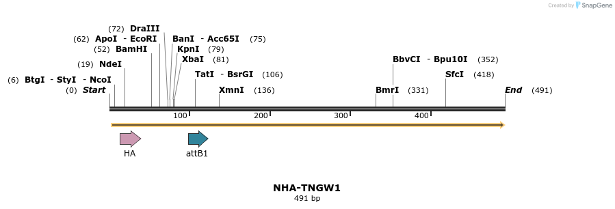 46967_map