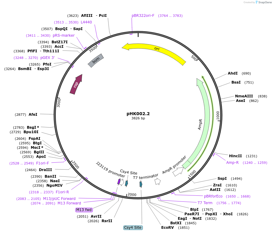 469670_map