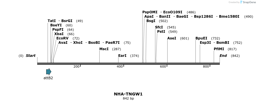 46969_map