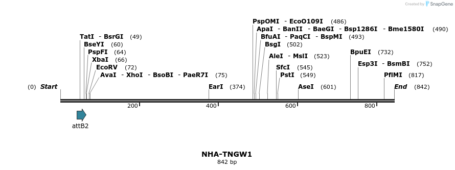 46970_map