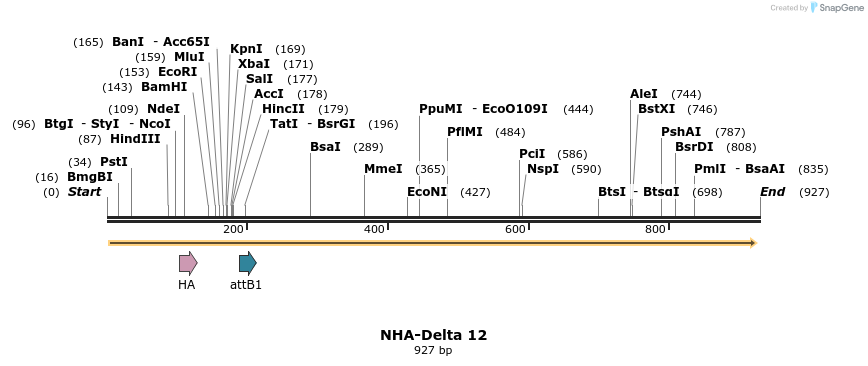 46971_map