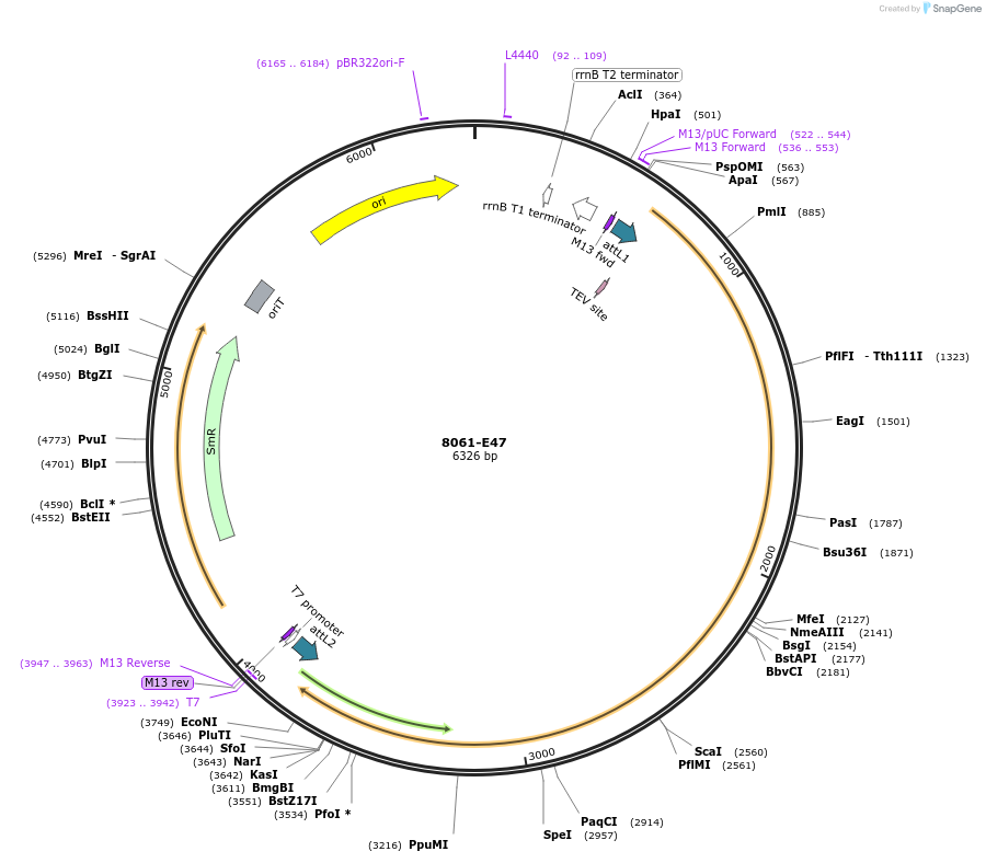 469719_map