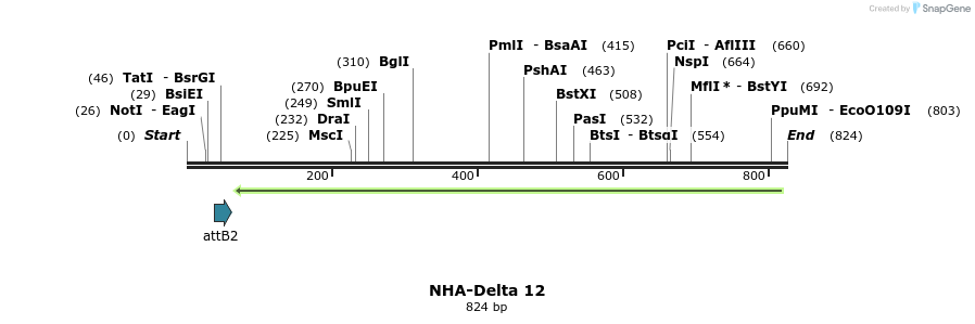 46972_map