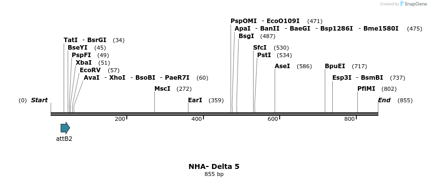 46973_map