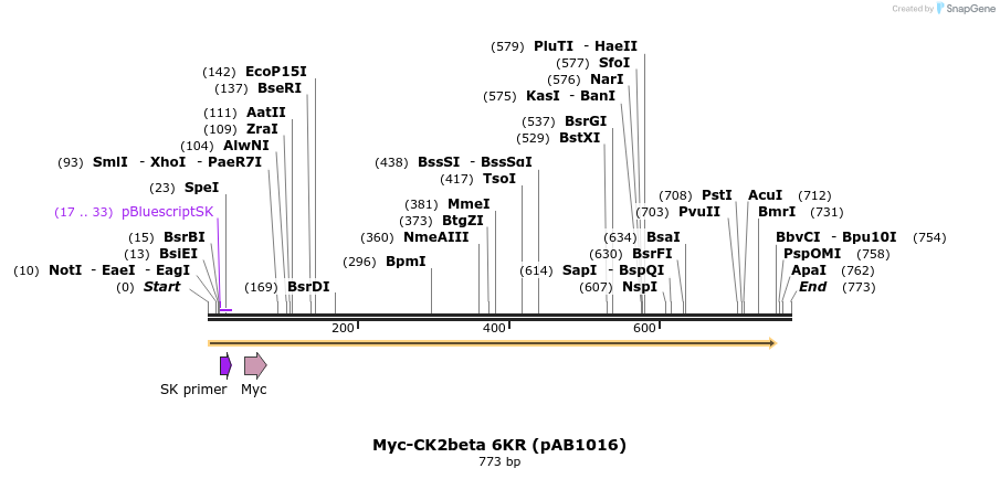 46977_map