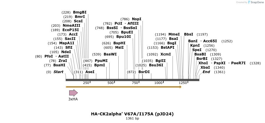 46979_map