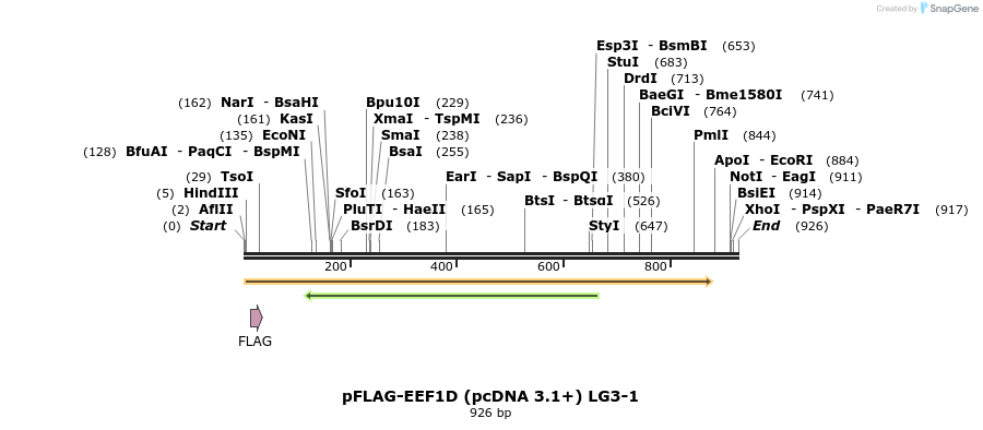 46980_map