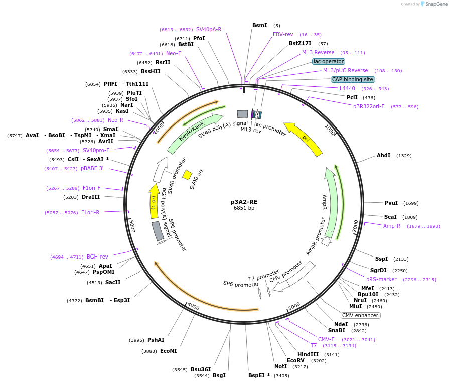 469801_map