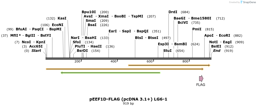 46981_map