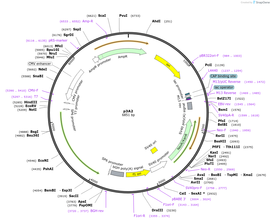 469821_map
